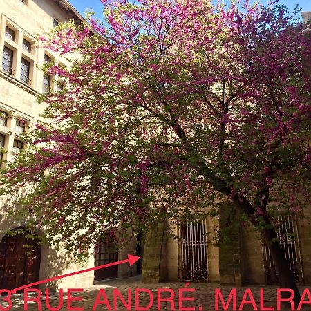 Appartement A 50 M De La Place Aux Herbes Uzès Exteriör bild