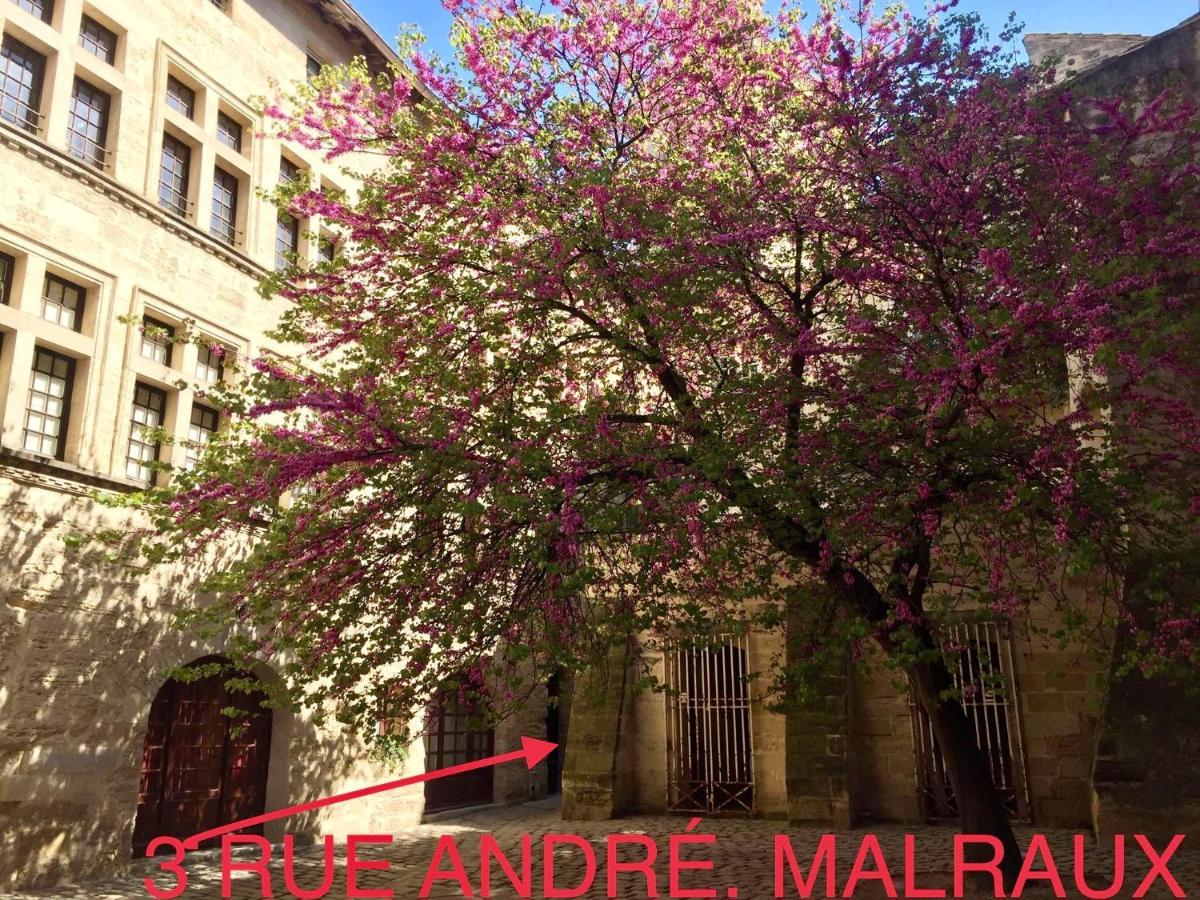 Appartement A 50 M De La Place Aux Herbes Uzès Exteriör bild